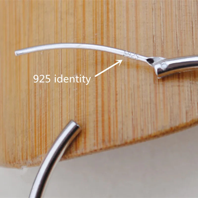 925 Sterling Silver Big Hoop Earrings - Round Circle